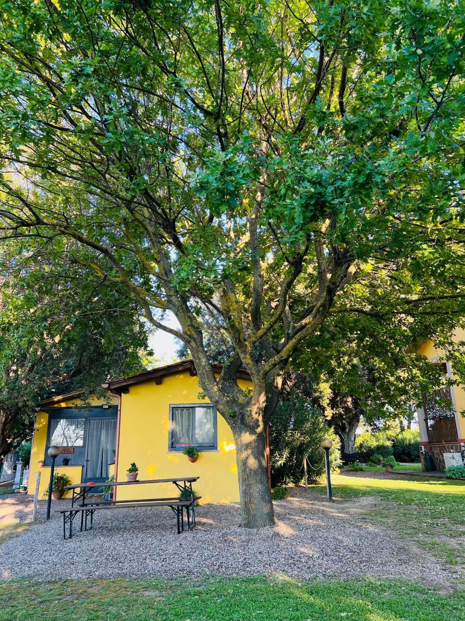 Il Melarancio Bed & Breakfast Pescia Romana Exterior photo